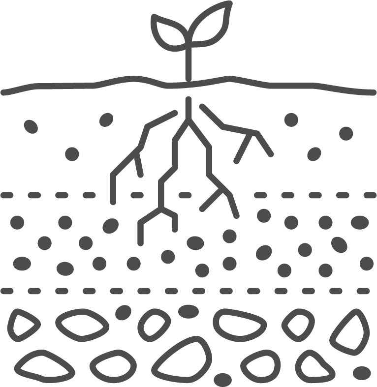 soil-6