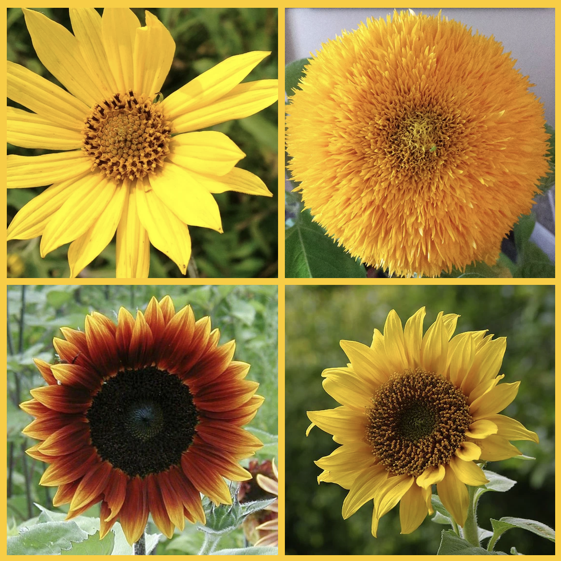 Screenshot 2024-07-22 at 2.58.25 PM